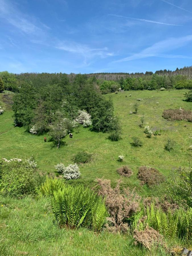 Вилла Cosy, Dog Friendly House On The Fringe Of The Brecon Beacons Tredegar Экстерьер фото