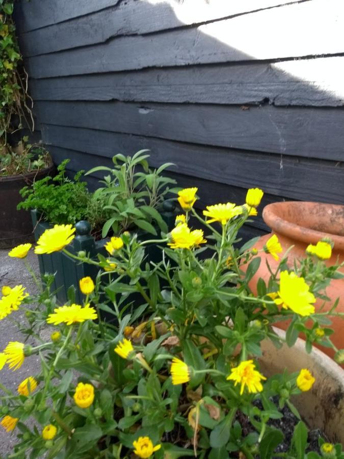 Вилла Cosy, Dog Friendly House On The Fringe Of The Brecon Beacons Tredegar Экстерьер фото
